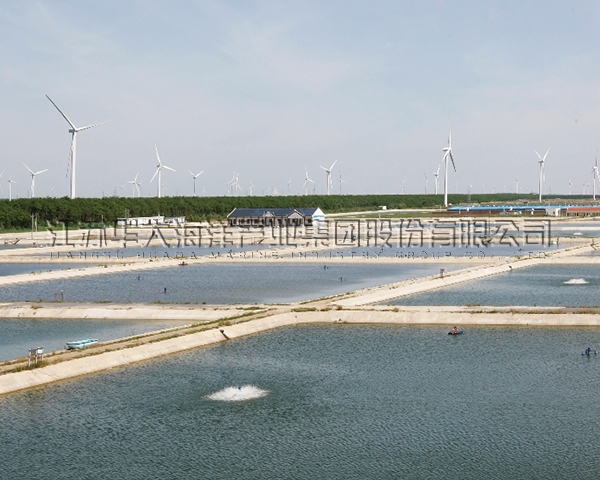 ​露天鳗鱼养殖示范基地